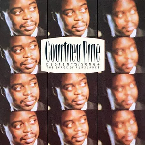 Destiny's song + the image of pursuance